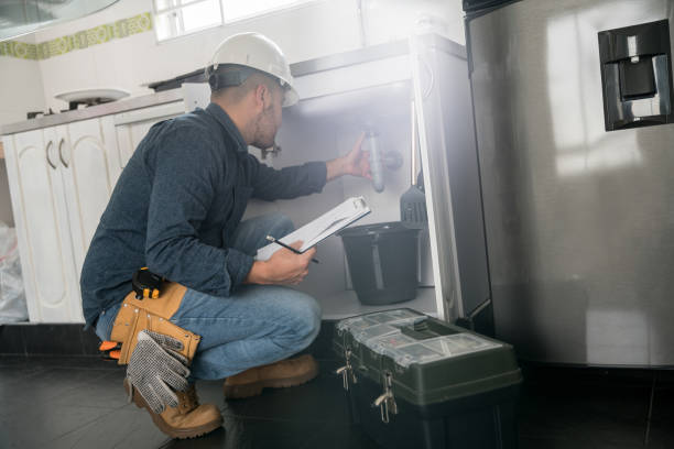 Best Leak Detection Services  in Vla Park, IL