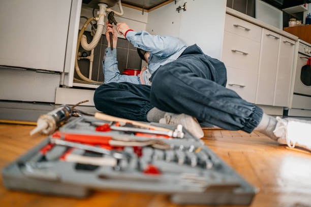 Best Emergency Plumber  in Vla Park, IL