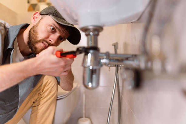Best Clogged Drain Plumber  in Vla Park, IL