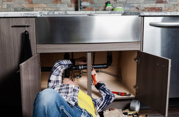 Best Residential Plumbing Services  in Vla Park, IL