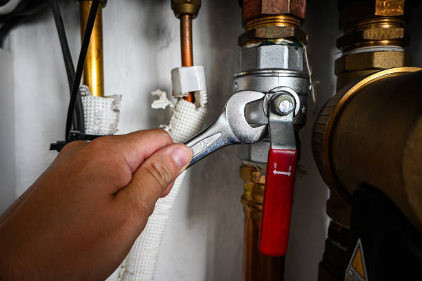 Best Local Plumber Services  in Vla Park, IL